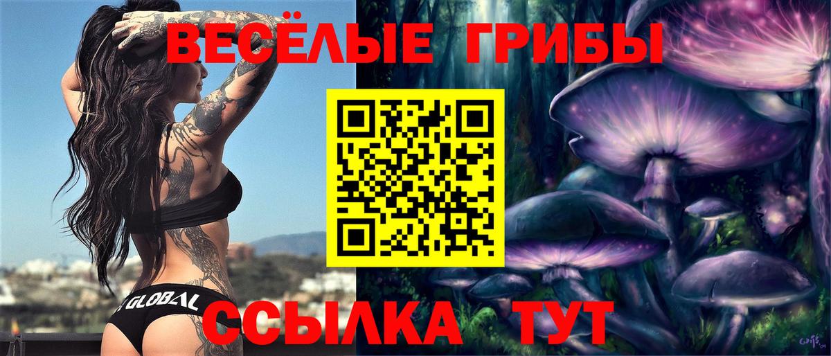 Галлюциногенные грибы Cubensis  Псилоцибиновые грибы MAGIC MUSHROOMS  продажа наркотиков  Вход с VPN  Димитровград 