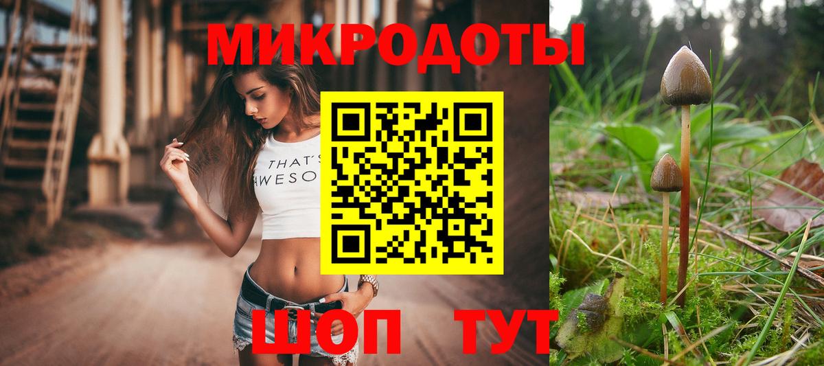 Псилоцибиновые грибы мухоморы Димитровград